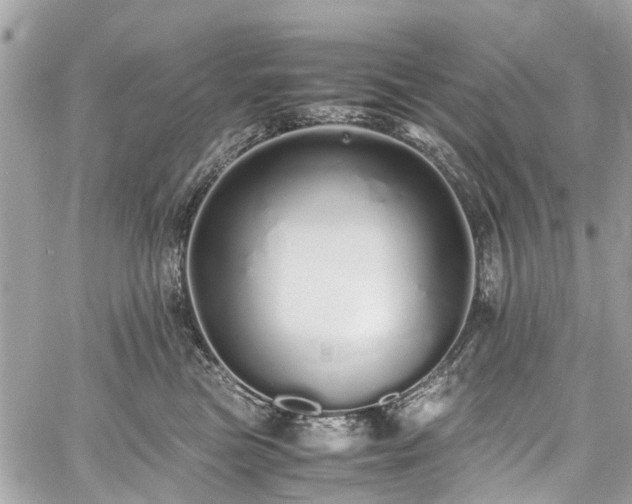 X0000060750473200511141203