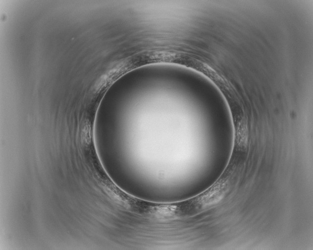 X0000060750474200511141203