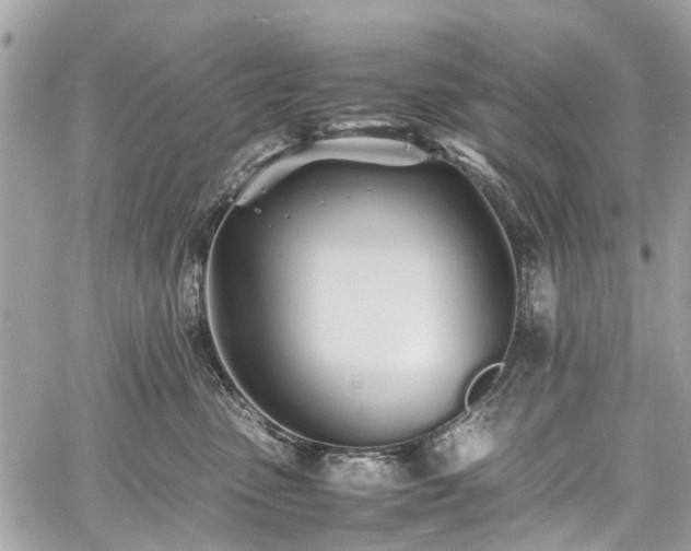 X0000060750475200511141203