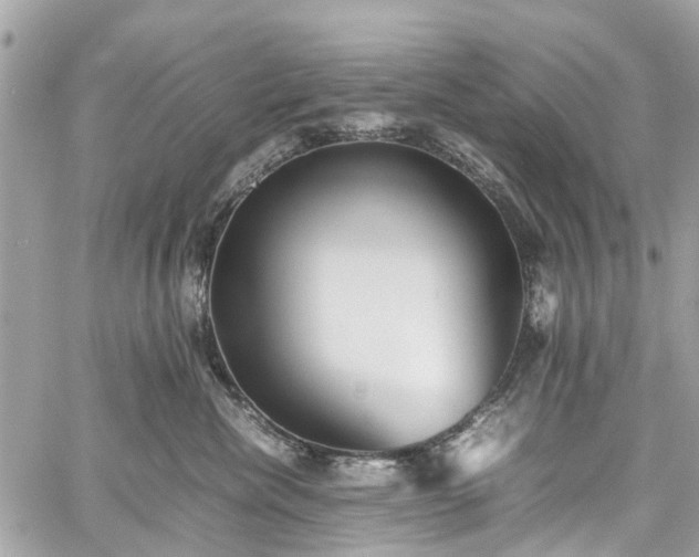 X0000060750476200511141203