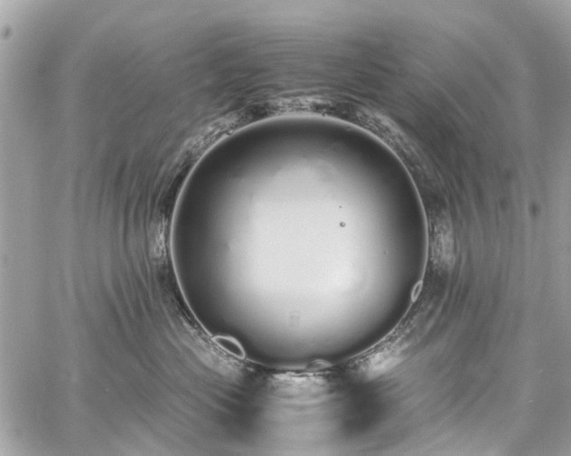 X0000060750477200511141204