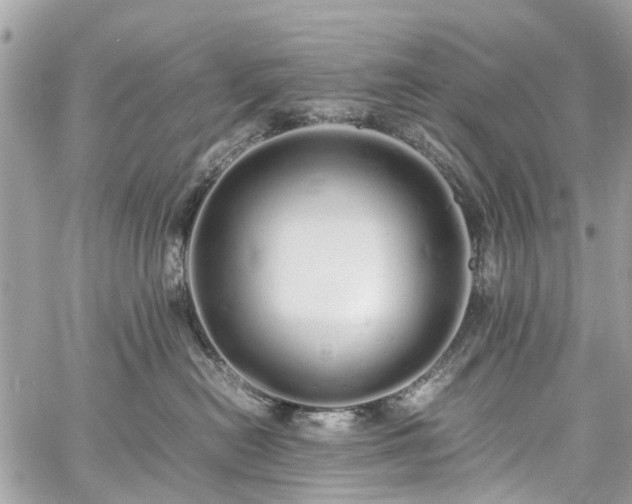 X0000060750478200511141204