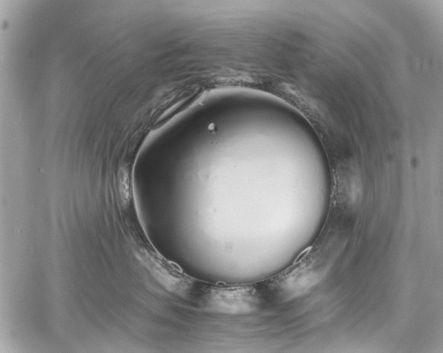 X0000060750479200511141204