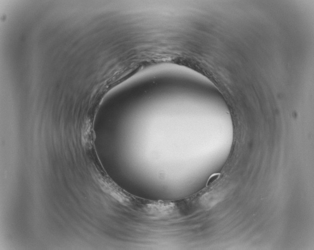 X0000060750480200511141204