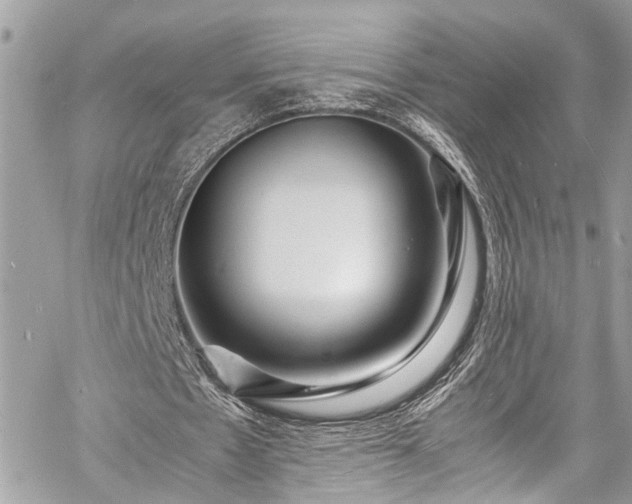 X0000060750481200511141203