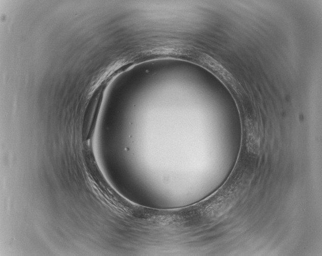 X0000060750482200511141203