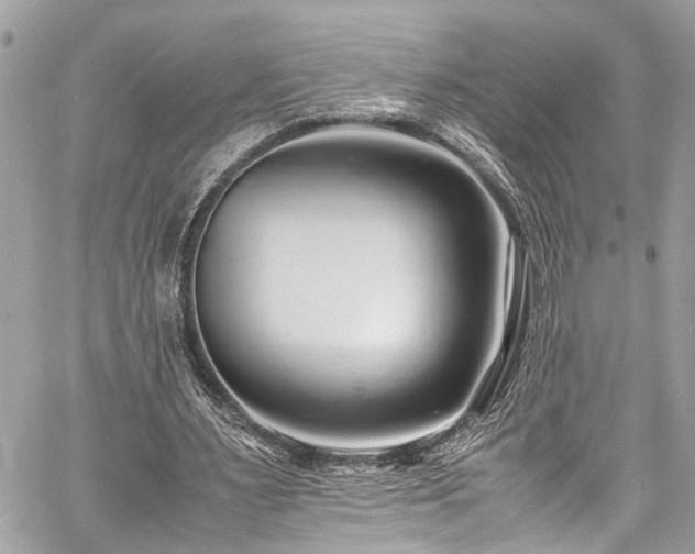 X0000060750483200511141203