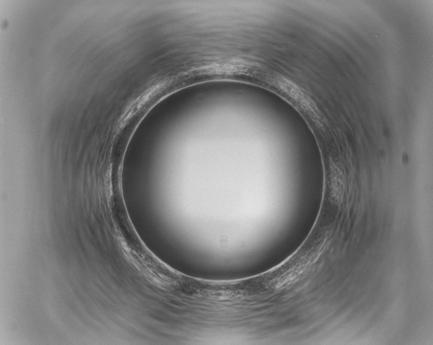 X0000060750486200511141203