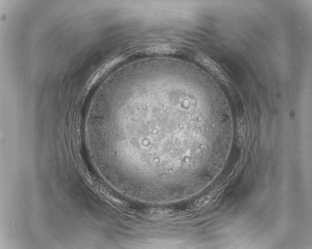 X0000060750487200511141203