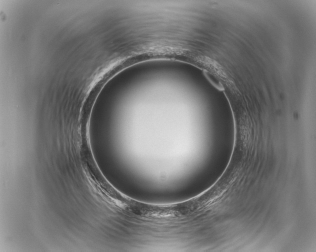 X0000060750488200511141203