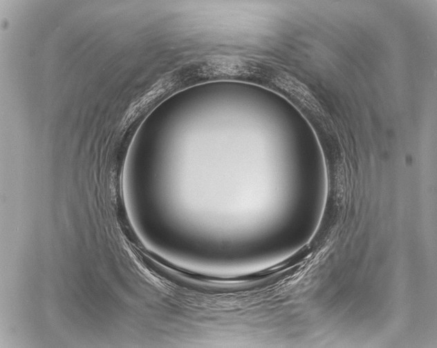 X0000060750489200511141203