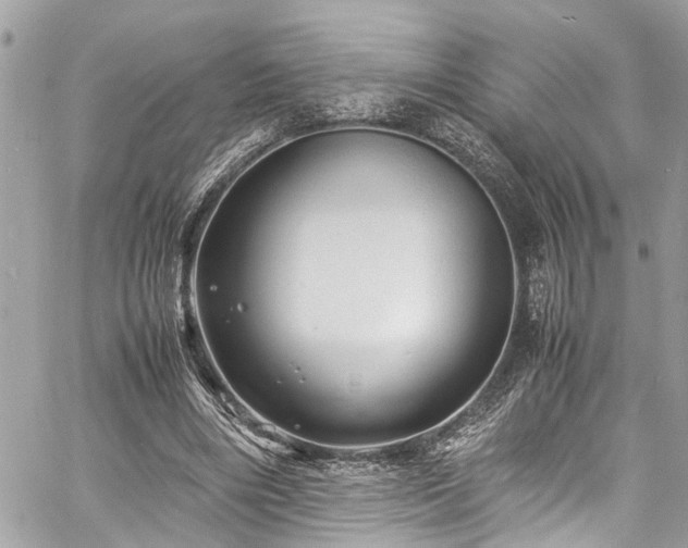 X0000060750490200511141202