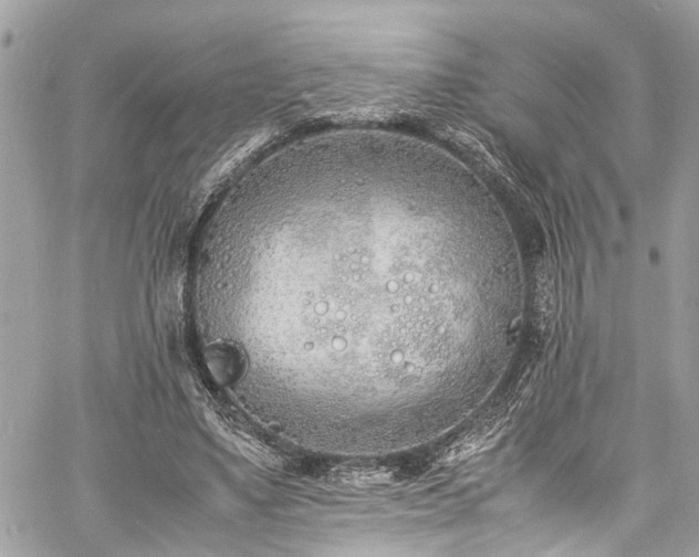 X0000060750491200511141202