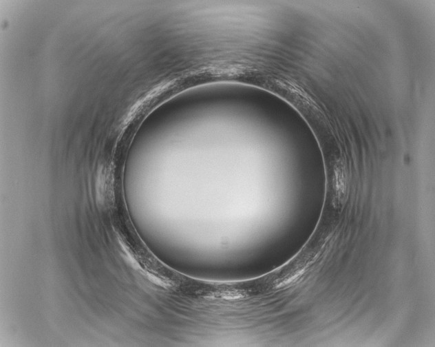 X0000060750492200511141202