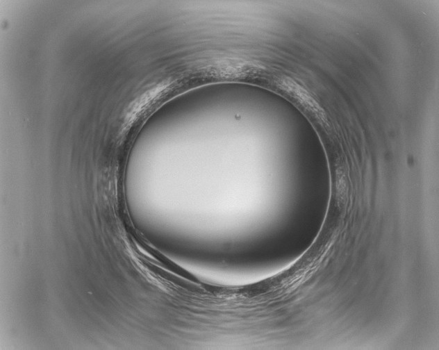 X0000060750493200511141202