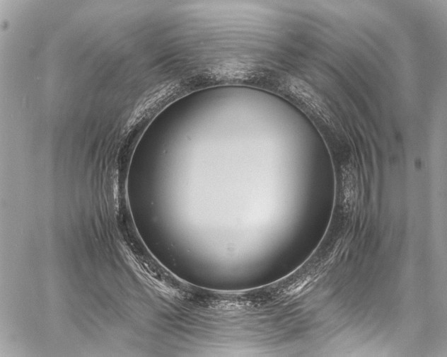 X0000060750494200511141202