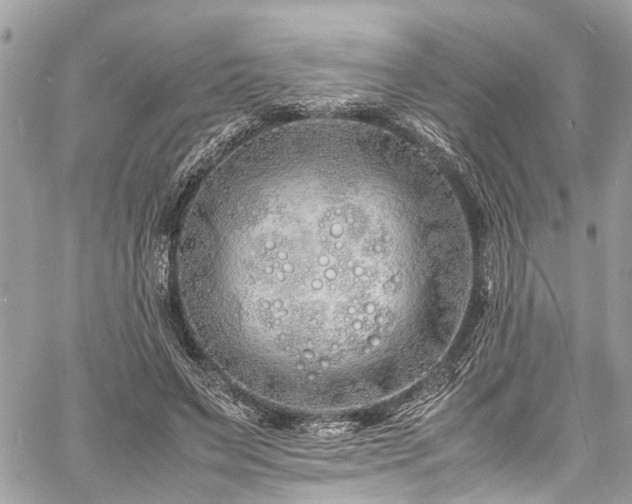 X0000060750495200511141202