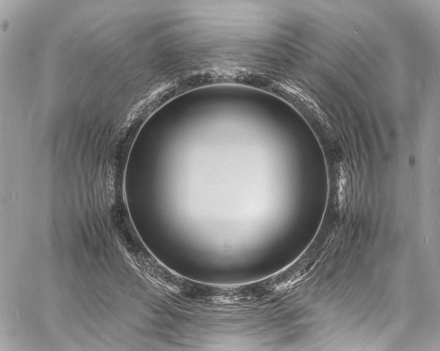 X0000060750496200511141202