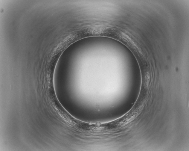 X0000060750497200511141202