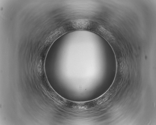 X0000060750498200511141202