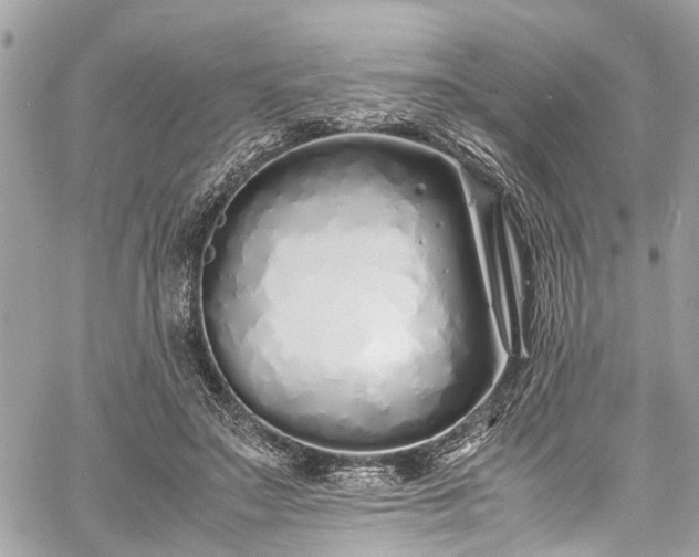 X0000060750499200511141202