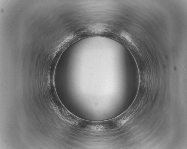 X0000060750500200511141202