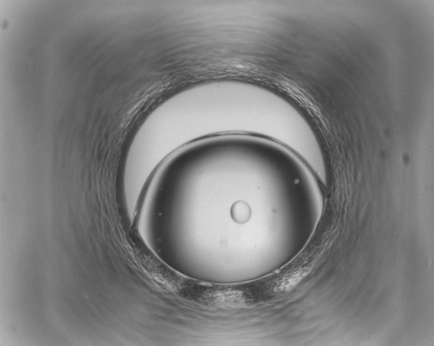 X0000060750501200511141202