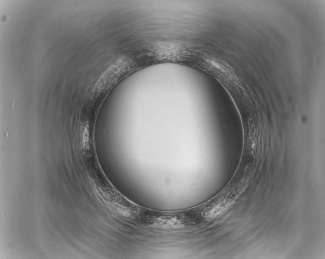 X0000060750502200511141202