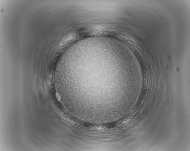 X0000060750503200511141202