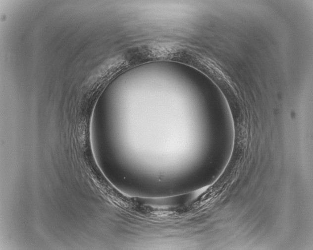 X0000060750505200511141202