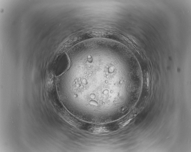 X0000060750507200511141202