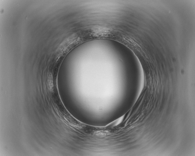 X0000060750508200511141202