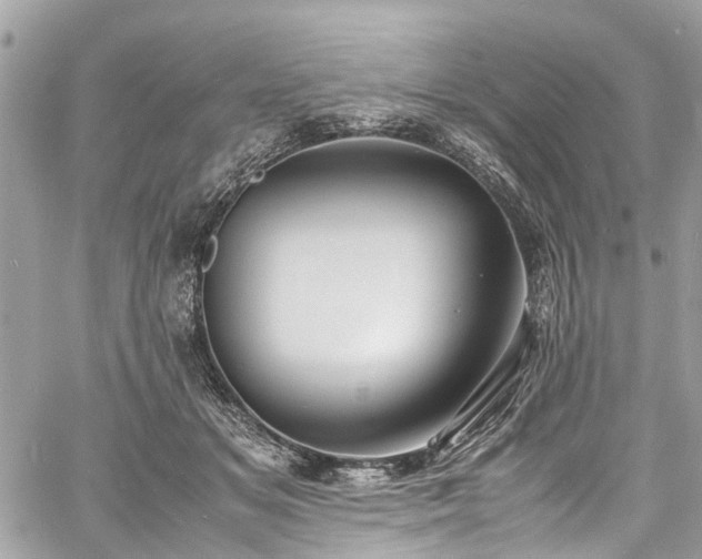 X0000060750509200511141202