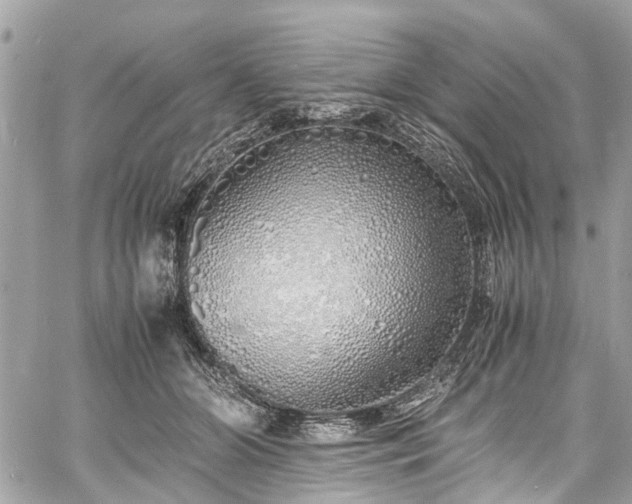 X0000060750510200511141202