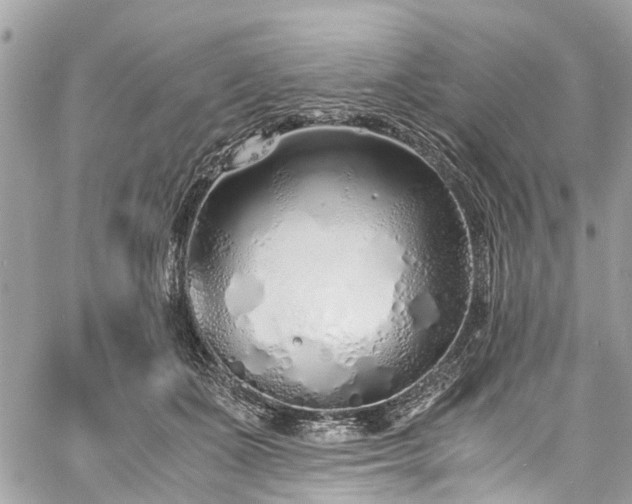 X0000060750511200511141202