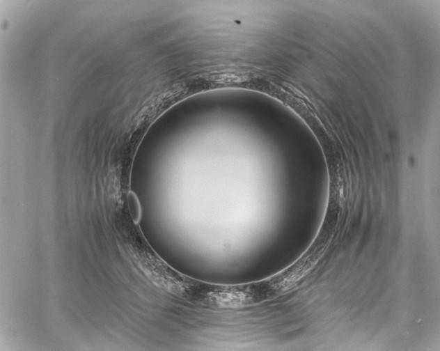 X0000060750512200511141202