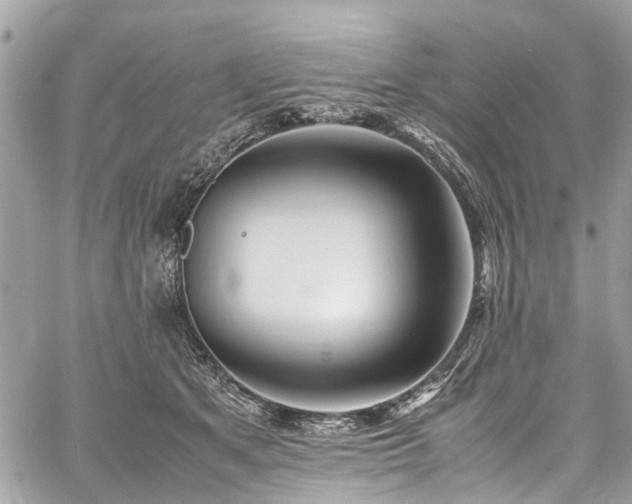 X0000060750513200511141202