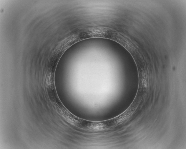 X0000060750514200511141202