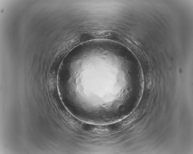 X0000060750515200511141202