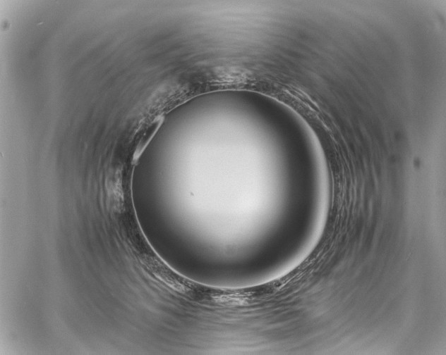 X0000060750516200511141202