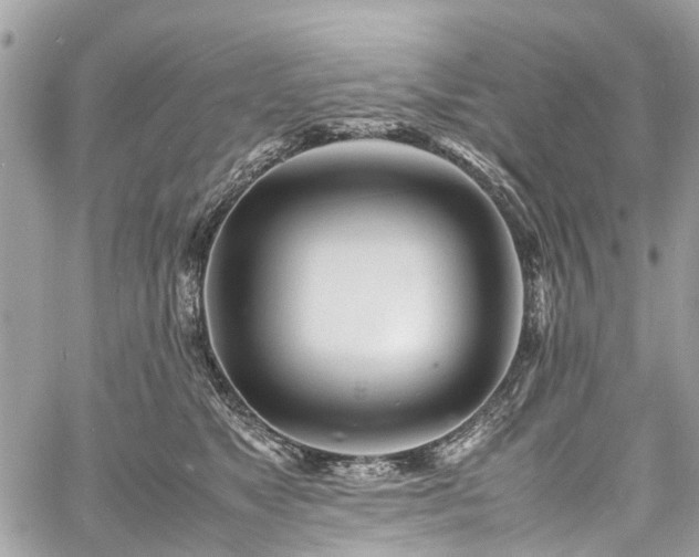 X0000060750517200511141202