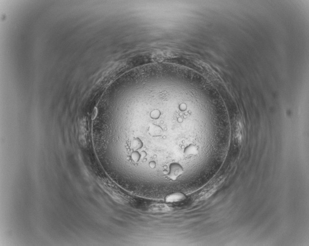 X0000060750519200511141202