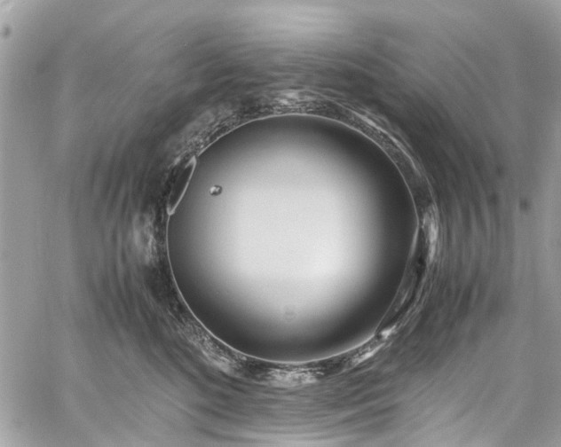 X0000060750520200511141202