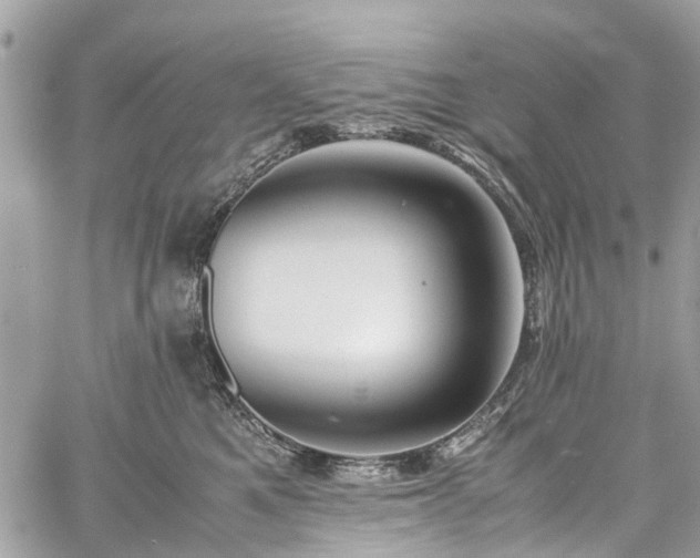 X0000060750521200511141202