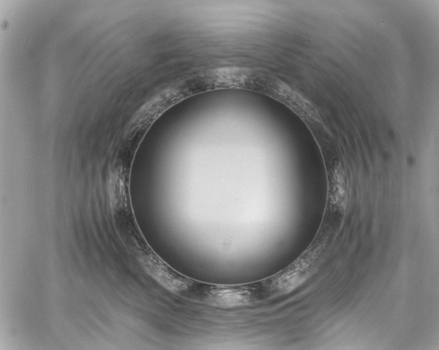 X0000060750522200511141202