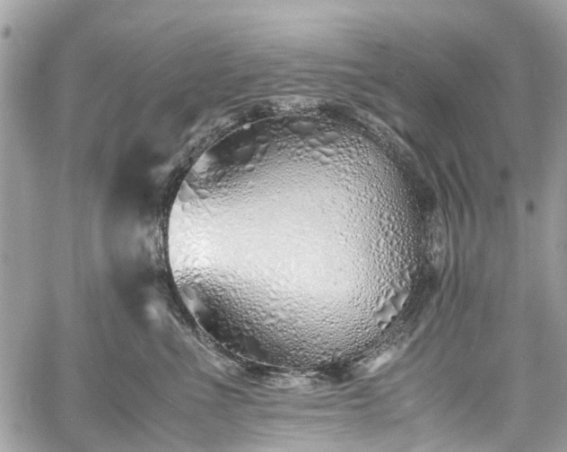 X0000060750523200511141202