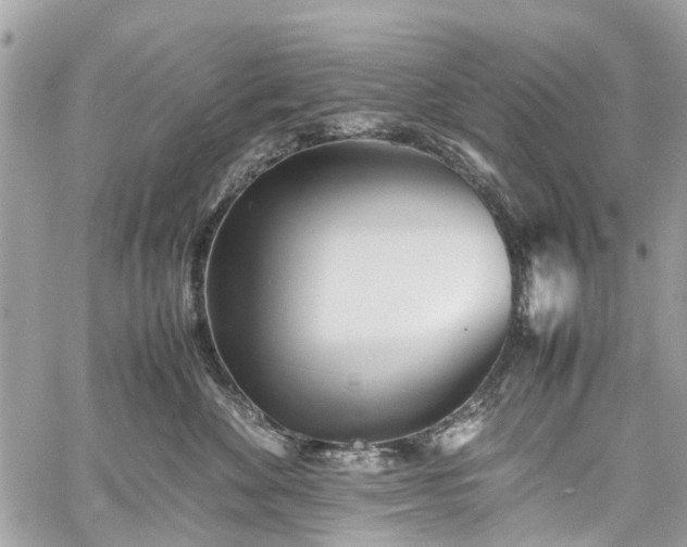 X0000060750524200511141202