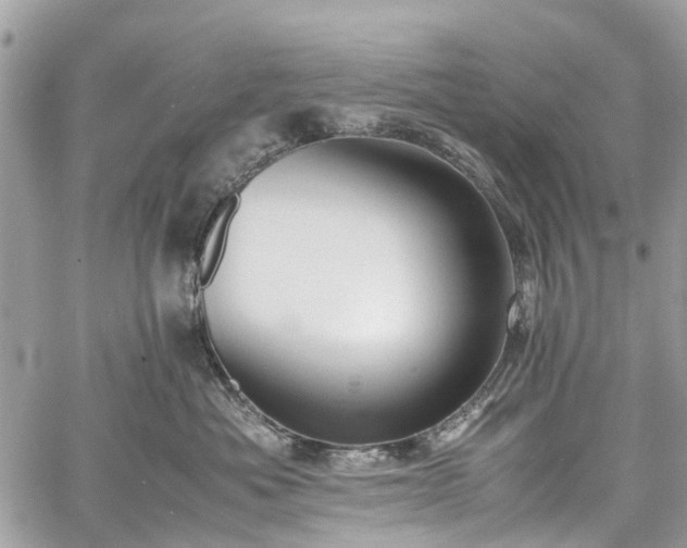 X0000060750525200511141202