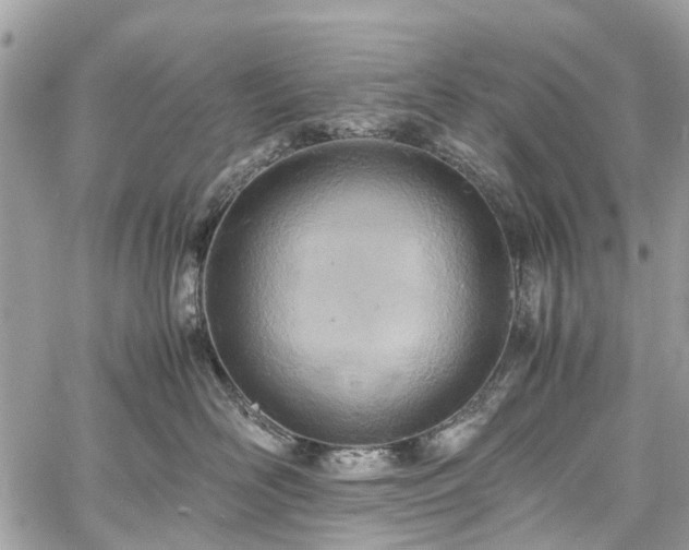 X0000060750526200511141202