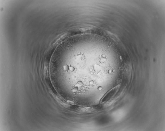 X0000060750527200511141202